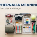 paraphernalia meaning